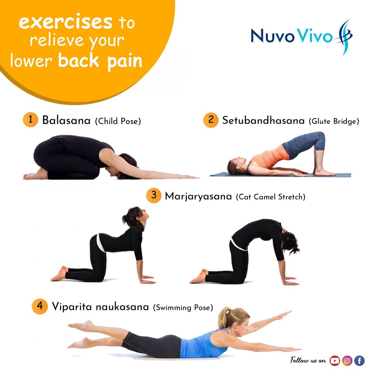 Lower back exercises at home